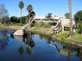 LA_BREA_TAR_ITS-Brea_Tar_Pits__La_-3000000000776-500x375
